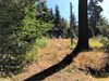 44696 Crestwood Dr photo